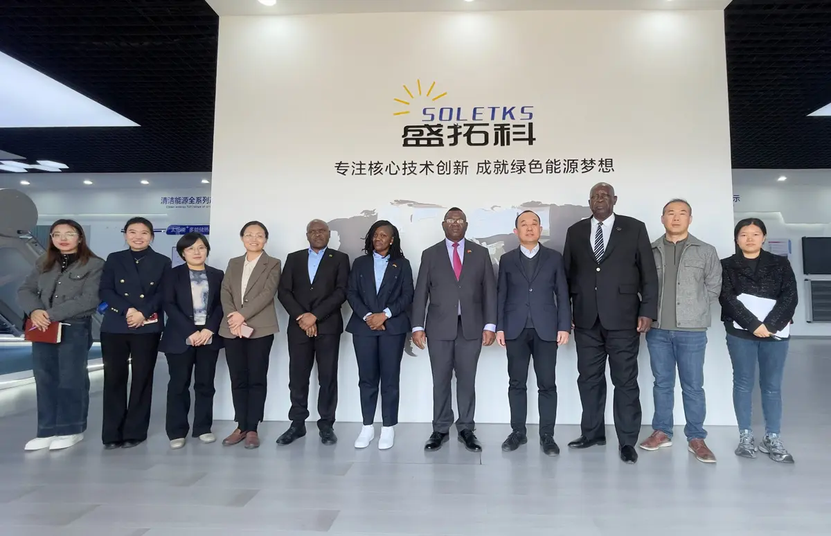 SOLETKS Professional Team